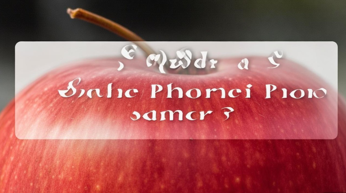 苹果6sp拍照效果究竟如何？日常够用吗？