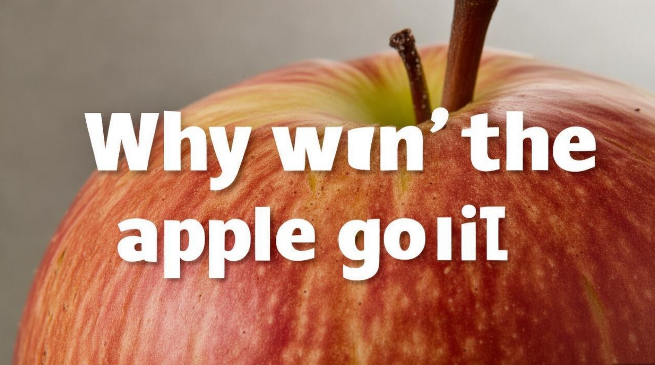 苹果打不进去怎么回事啊，苹果无法开机是什么原因