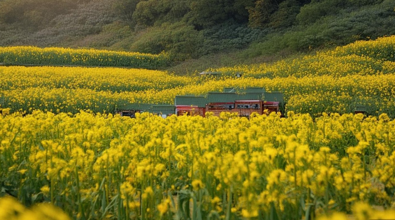 怎么样辨别三星手机是否原装屏幕，三星原装屏鉴别方法有哪些