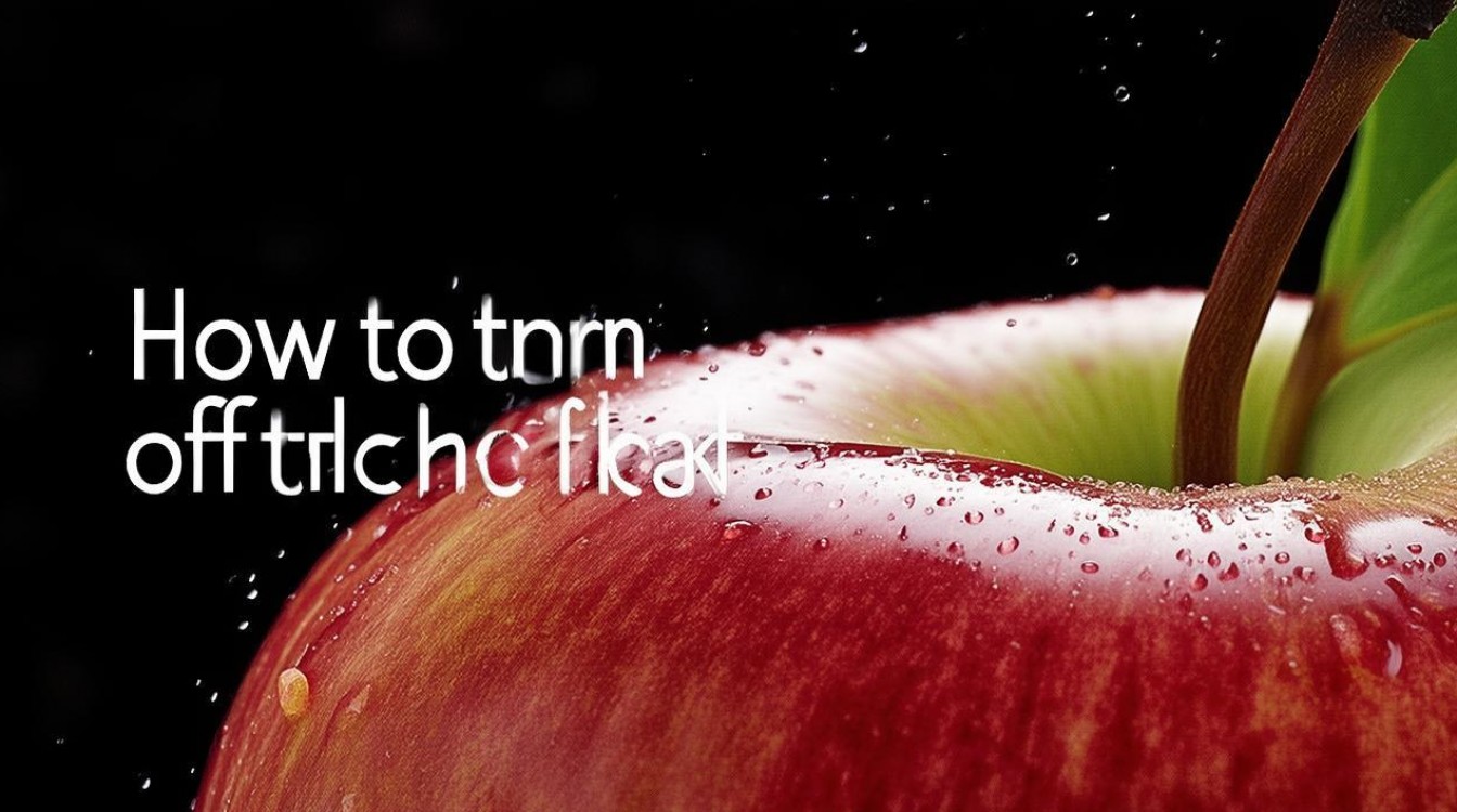 苹果来电闪光灯怎么关?iPhone闪光灯闪烁提醒关闭方法