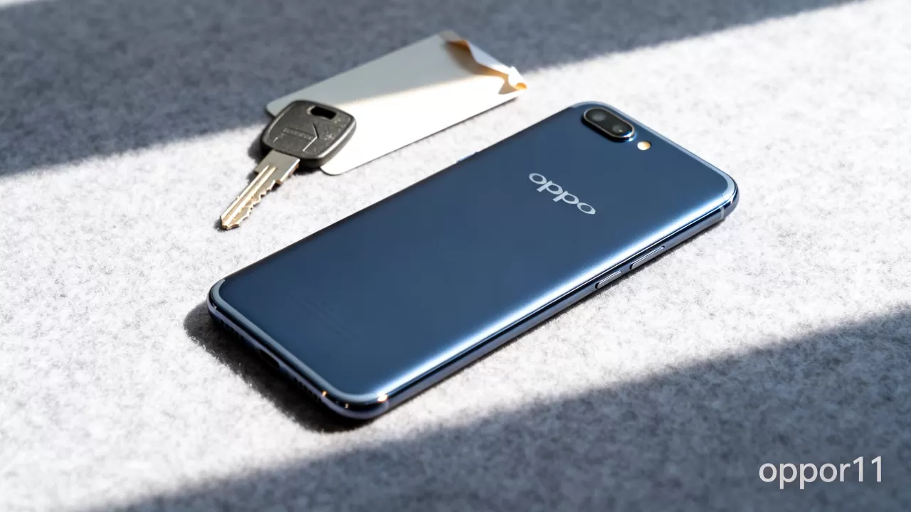 oppor11照亮什么,oppor11闪光灯不亮 oppor11照亮什么,oppor11闪光灯不亮