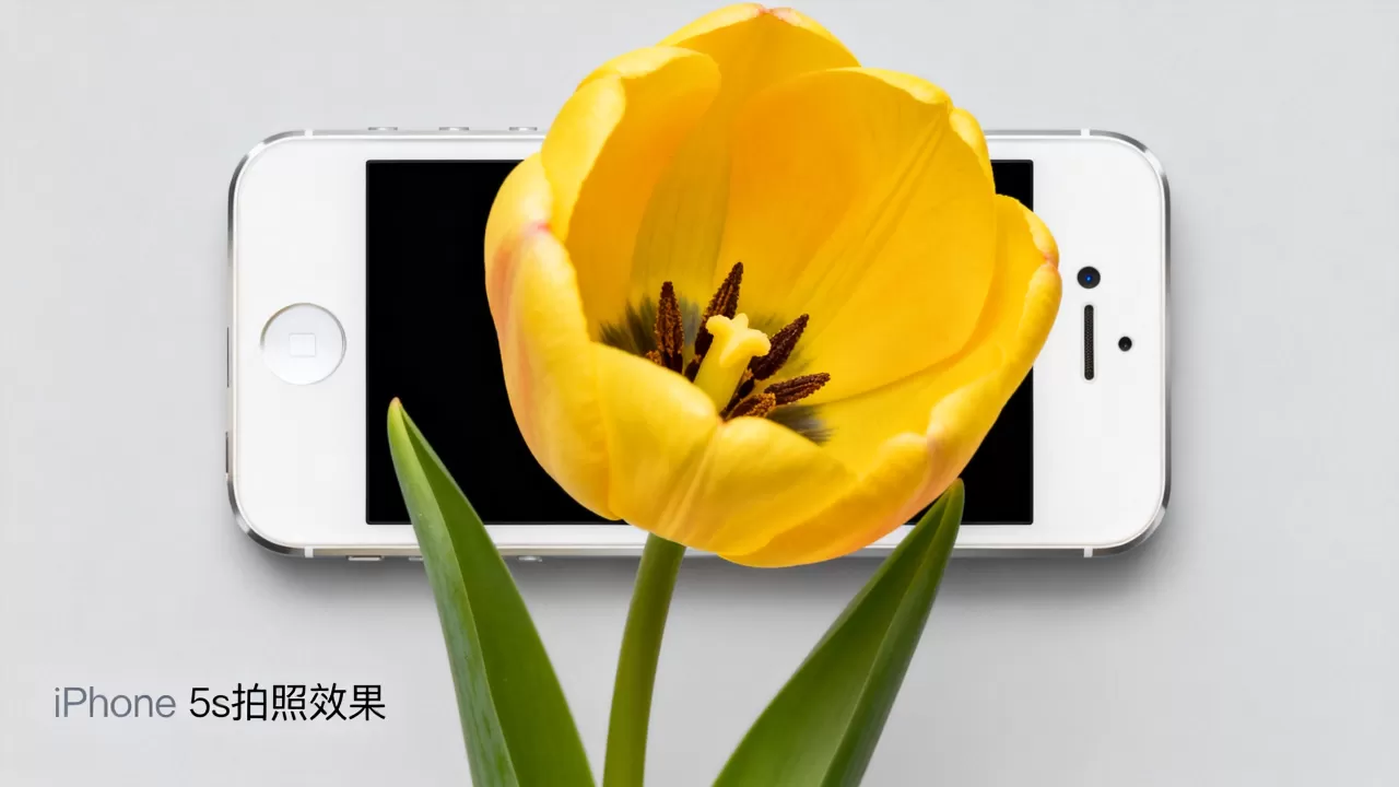 iphone5s拍照效果如何,iphone5s拍照 iphone5s拍照效果如何,iphone5s拍照