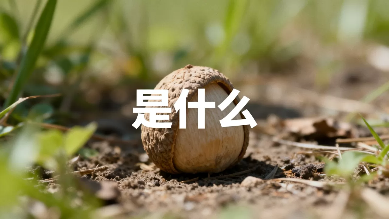 {md5格式的刷机包}是什么,{md5格式的刷机包} {md5格式的刷机包}是什么,{md5格式的刷机包}