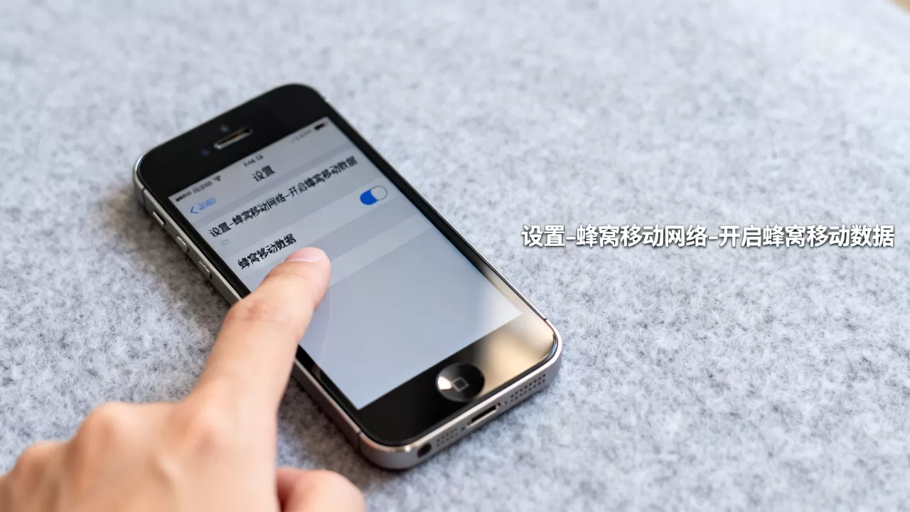iphone5移动数据设置，iphone5怎么开启移动数据