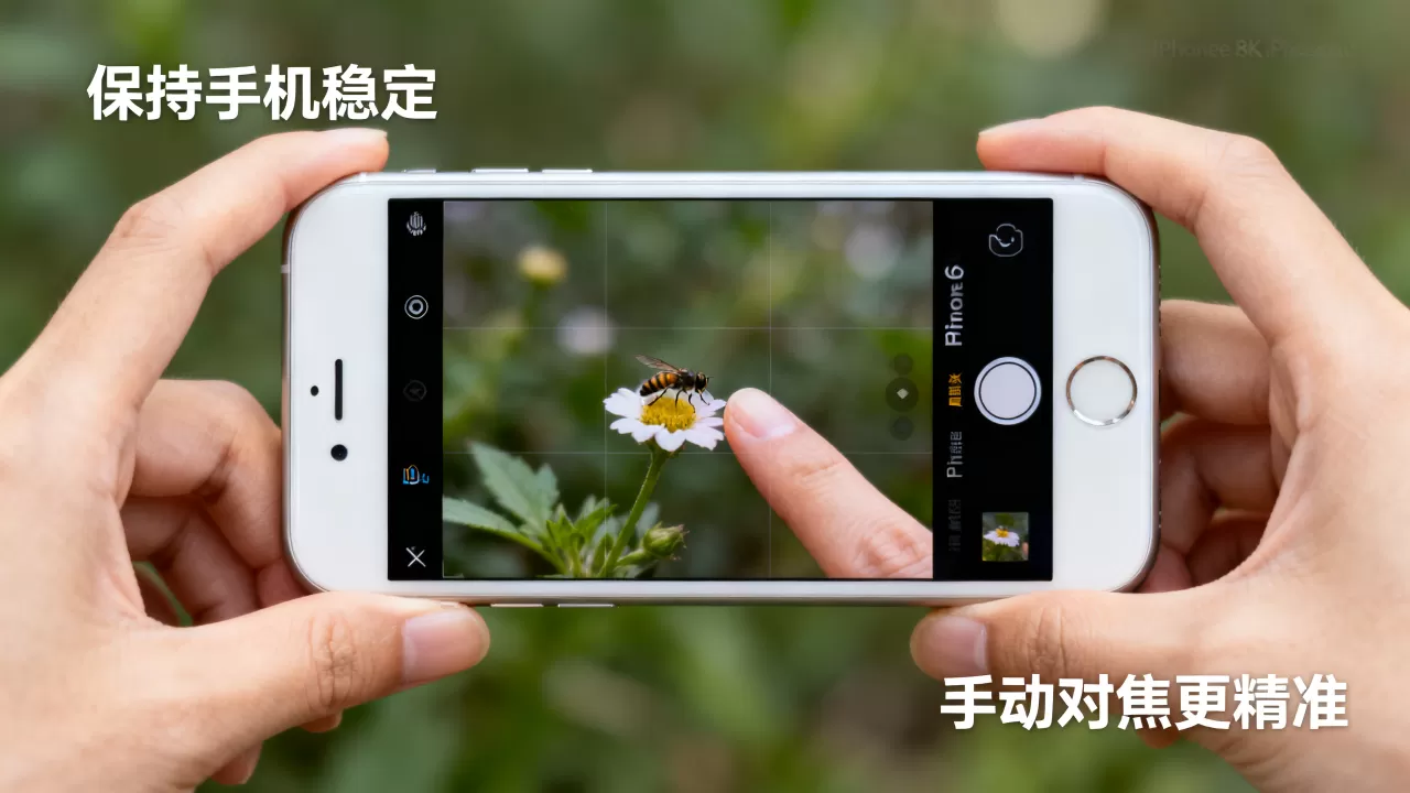 iphone6怎么拍微距?手机微距拍摄方法技巧 iphone6怎么拍微距?手机微距拍摄方法技巧