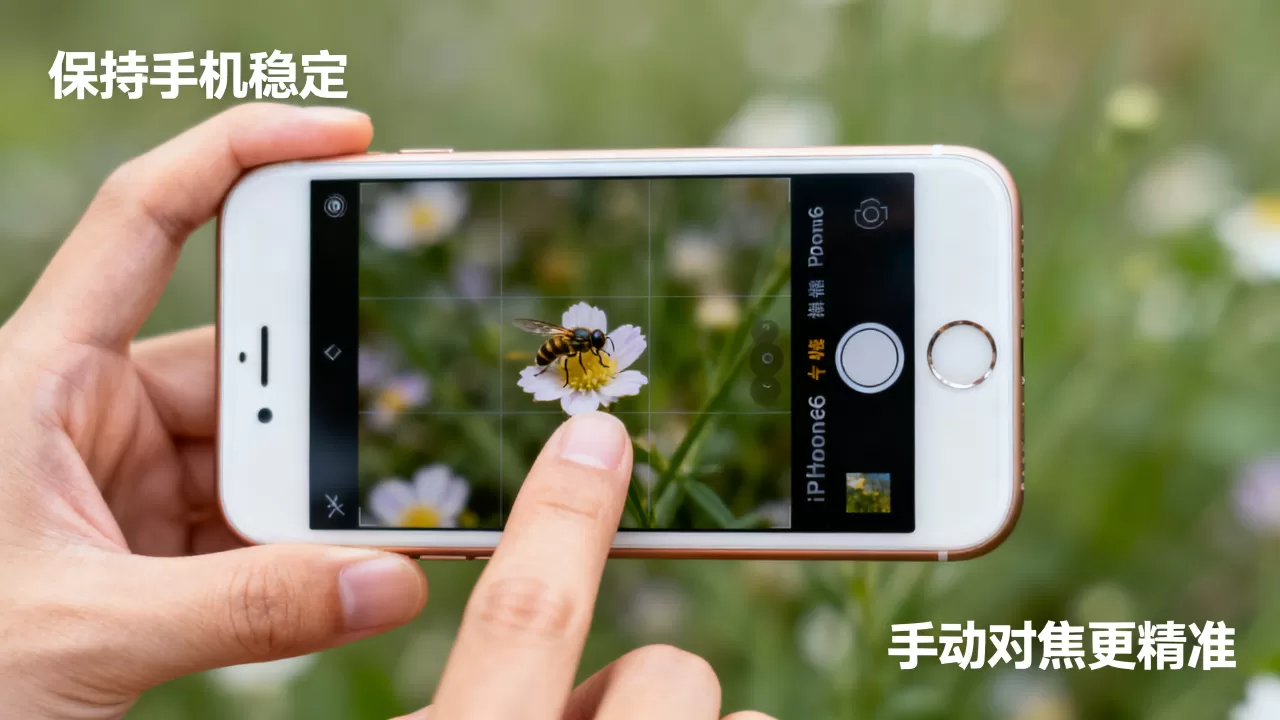 iphone6怎么拍微距?手机微距拍摄方法技巧 iphone6怎么拍微距?手机微距拍摄方法技巧