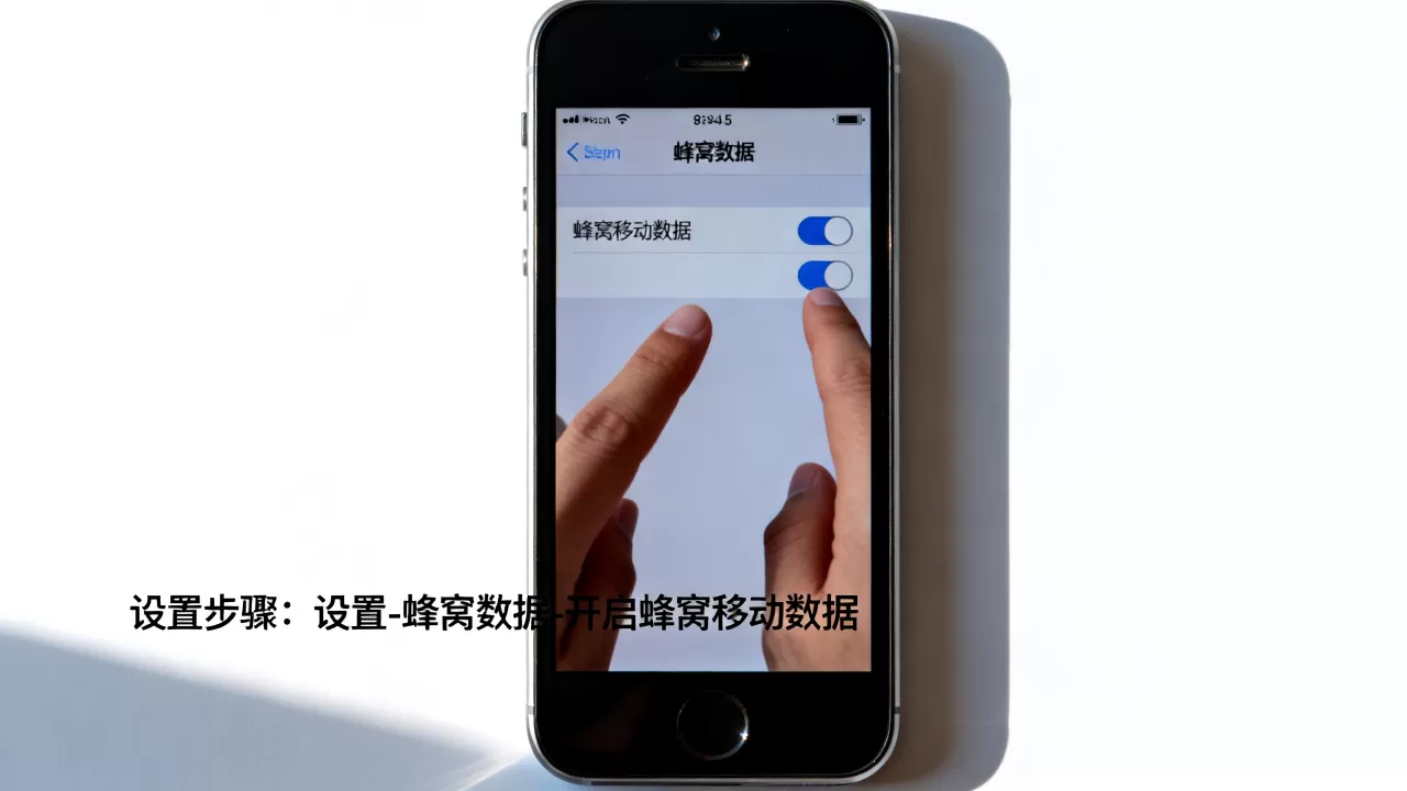 iphone5的蜂窝数据怎么设置，无法开启蜂窝移动网络怎么办